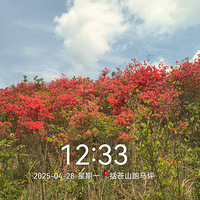 括苍山看满山杜鹃九台沟观峡谷山景-黄石坦九洞尖跑马坪环线徒步