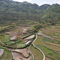 永嘉茗岙梯田：一场跨越时光的寻美之旅