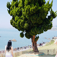 ൺļס