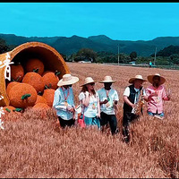 �����ψ���Ұ����