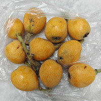 �⼸�춼�����������ˡ�ɣ�ء�