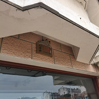 ö