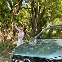 ȥ׷ķGLC SUV