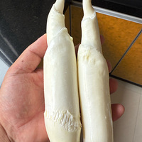 ʳģòƷ