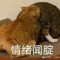 鵱죬Ź۾ʾ⵽ǲǷԲ