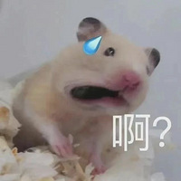 Ϲʲô飿бЦһྴ