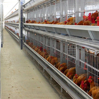 ȫʡ������������������̫���óԡ���