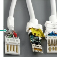 �����ֳ���ߵģ�Ȱ�����ϰε���