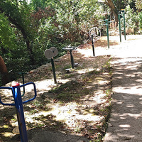 ������Ҳ