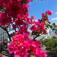 ��̨����