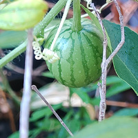 �����µ�����