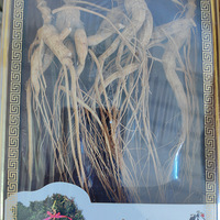 [�۸���]ΪʲôɶҲ�����ܾ����ۣ�����Ѫ��������