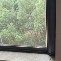 Ϊʲô������ɴ����ô���Ĳ�Ʒ������������������׻����Ѳ�