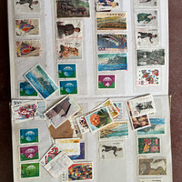 ����ɶ����Ĳ��ﰡ