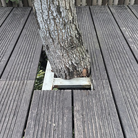 ���п������ĸ�����