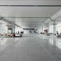 �񻷸���վ�����½�չ��