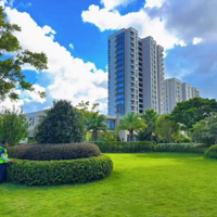 ���С����������������̨����������ҵ����ڰ񡱹���