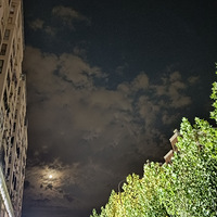 ʮ�������