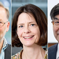 �����׸�ŵ��������������λ��ѧ�һ�