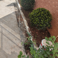 �ɳǸ��죬�ĳ������Ͳ����������ˣ���