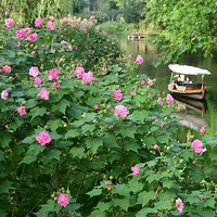 �轵14�棡�㽭����19��һ�����������ҲҪ��