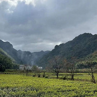 ̨�����¡���ˮ�����������ּ����䶬���������С�