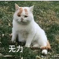 պѶ飬͵֪軳ˣѻȰҵԼ