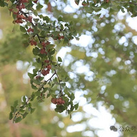 ���ꡢ�����������̨������ת�۾�����һ�졭��