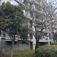 �𻨺�ӣ��ͬʱ����