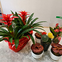 ������˵�ʱ������軨