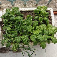 Ӫ����ԭ���ǹ�ҵ��������