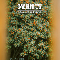 �����¹�����԰