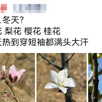 ����ö�̨�������²���Ҳ̫������.....���������ˣ���Ҳ��