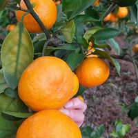 ����ӿȪ�۽����ˣ�