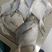 ������������㡢з��Ϻ��������߲ˡ�