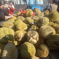 ��11�´��ޡ�����8Ԫһ�