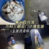 2025μǡҹϺݵģɳ̲Ƕʿ