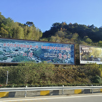 ��11�´��ޡ�ȥ����ɹ����