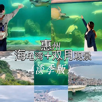 2025μǡݺ+˫۾湥ԣ棩