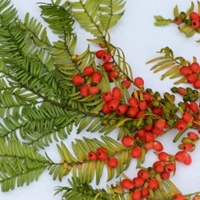 ̨��һŮ�Ӷ��������ͣ�������ǡ�ֲ������è��