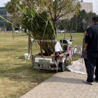 �������Ⲩ���죬�������Ҹ��б���