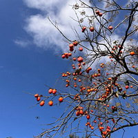 ���Խ��ǣ�Ψ�����ݣ�