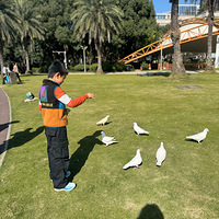 ��11�´��ޡ�ι���ӡ�ߣèߣ����