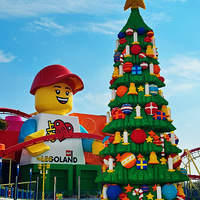 2025μǡľͯ磬ָ԰̫