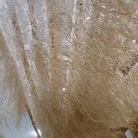 ���ֹ������̶���