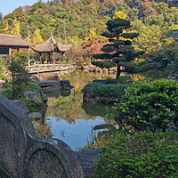 ϲ���Ͷ���