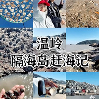 ��2025�μǡ��������ɽ���Ϻ�ʧ�ܣ�������䰡