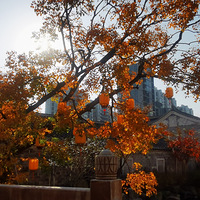 ��b�Ͻ�--��