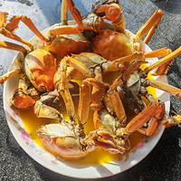 [�����ʲô]������з