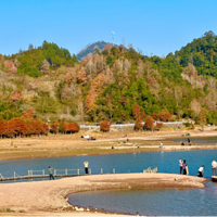 ��˫������Ƭ�ˣ����ѣ��ҵ�����̨�桰����̩����